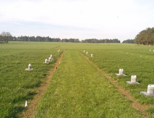 Teagasc Research Shows Environmental Benefits of Lime